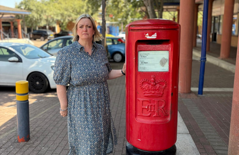 Cllr Amanda Marlow calls on MPs to act over poster delivery delays 